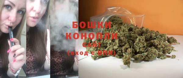дживик Осташков