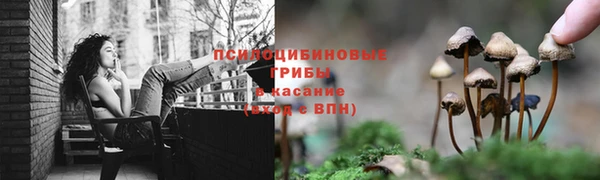 мдпв Остров