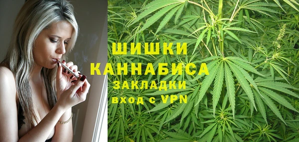 дживик Осташков