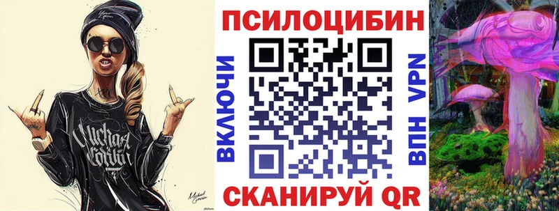 Купить где Семёнов Псилоцибиновые грибы мицелий